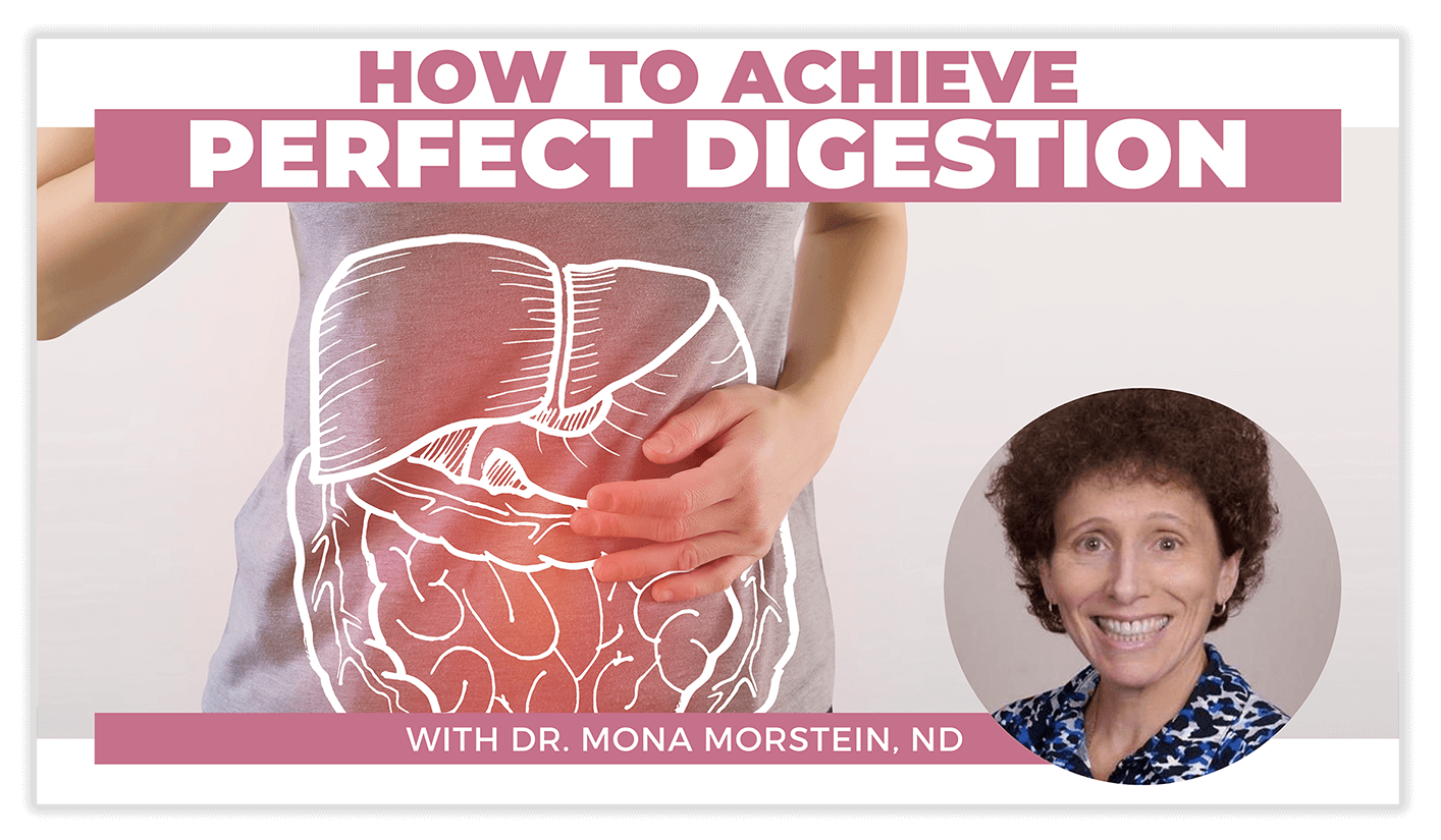 Morstein - Digestion