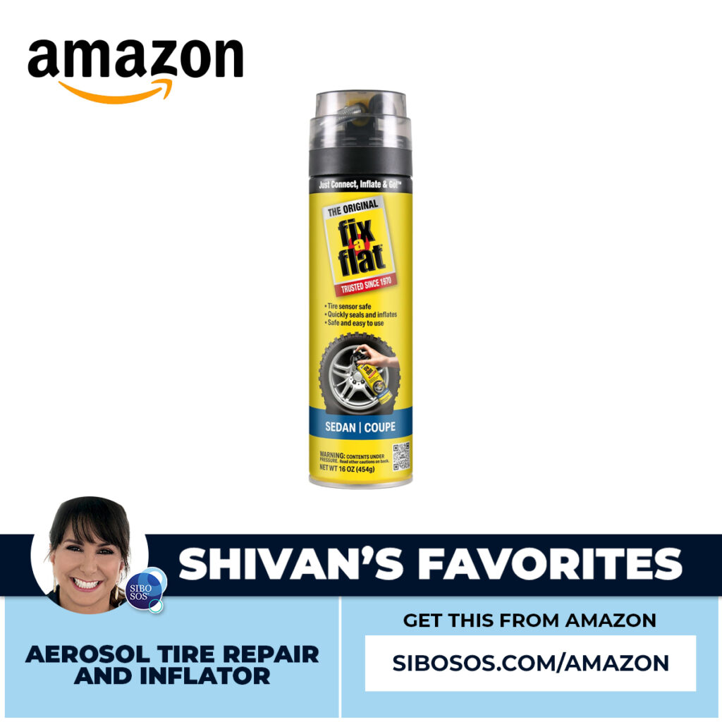 Aerosol Tire Repair and Inflator.jpg