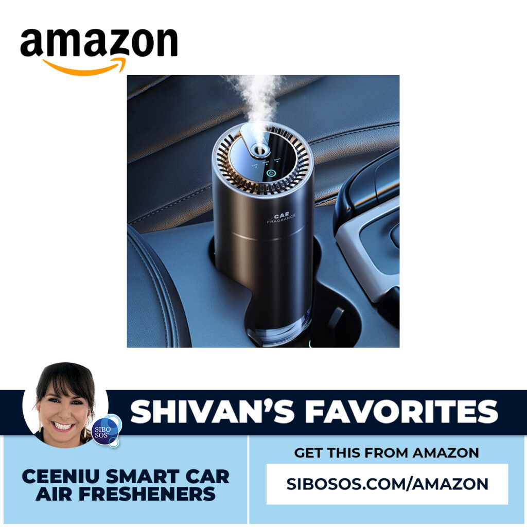 Ceeniu Smart Car Air Fresheners.jpg