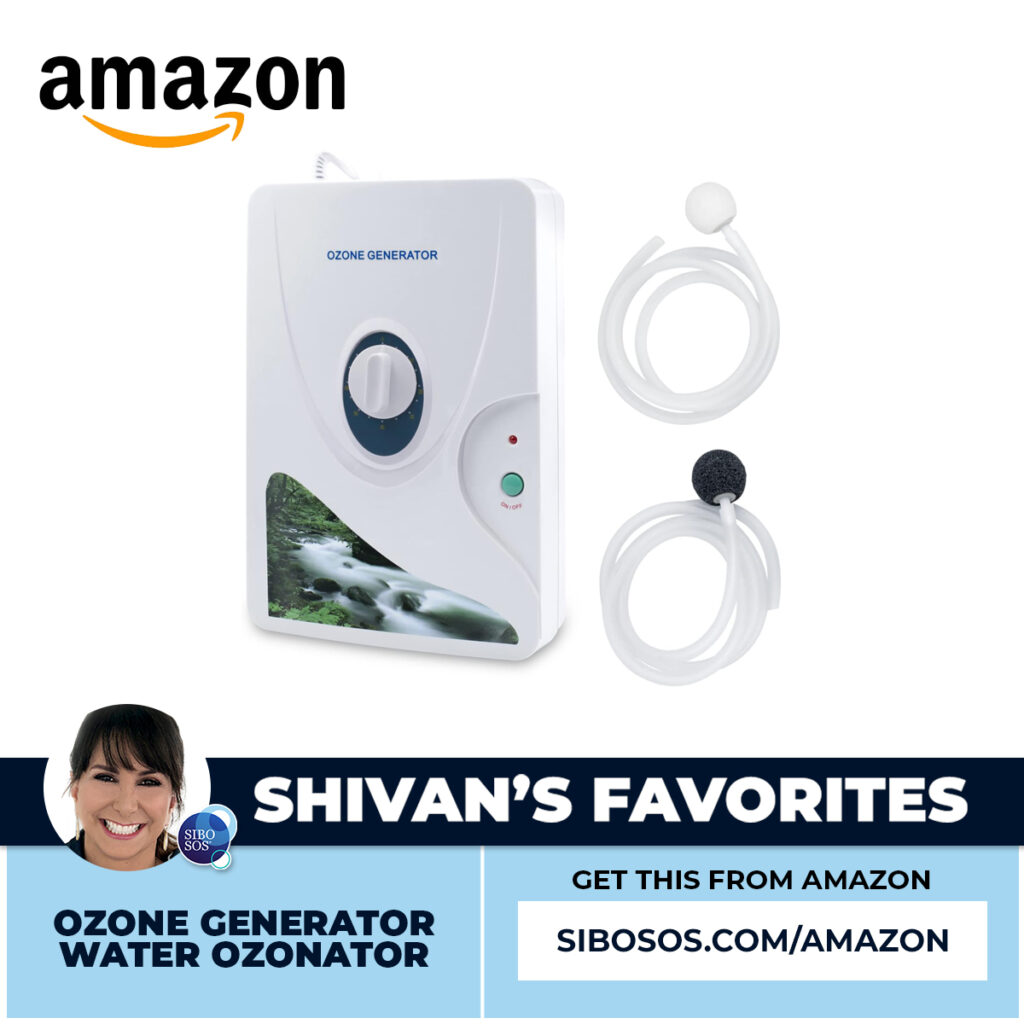 Ozone Generator Water Ozonator.jpg